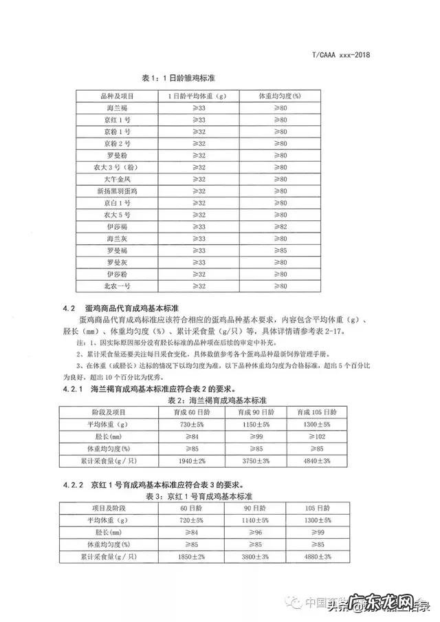 青年鸡行业现在什么状况听说“违约”的情况非常多