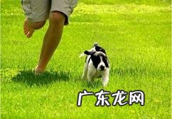 慢跑速度6左右,心率在93.4左右,这样减肥有用吗?