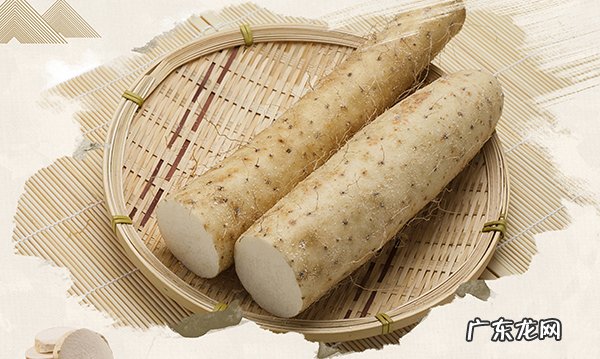 男人养肾最佳10食物,素食和荤食养肾大全