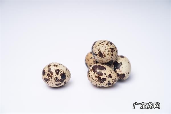 男人养肾最佳10食物,素食和荤食养肾大全