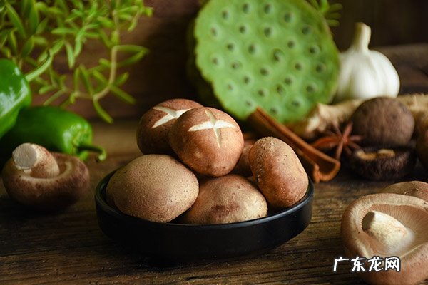 吃什么最养胃修复胃