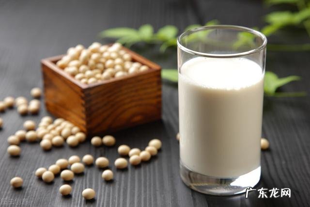 黑豆和黄豆哪个打的豆浆营养好？