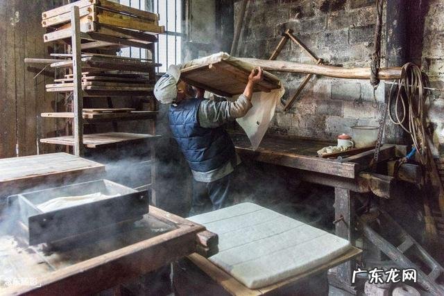 黑豆和黄豆哪个打的豆浆营养好？