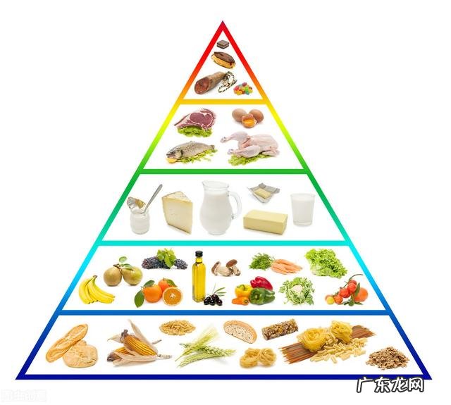 黑豆和黄豆哪个打的豆浆营养好？