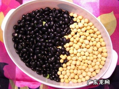 黑豆和黄豆哪个打的豆浆营养好？