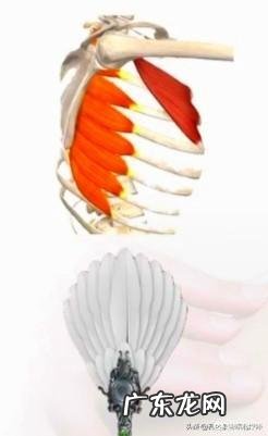 拔火罐对身体健康有好处吗?可以拔出湿气和寒气吗?