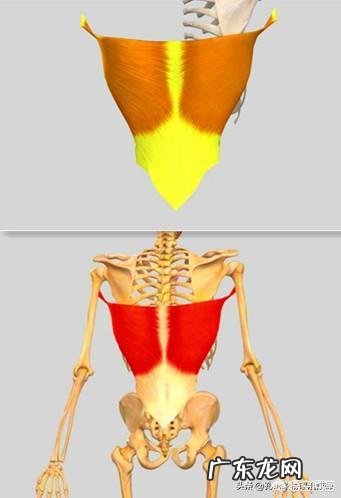 拔火罐对身体健康有好处吗?可以拔出湿气和寒气吗?