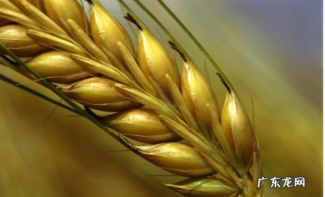 慢性肝炎如何才会发展成肝癌