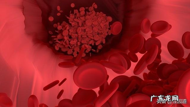 血脂是怎样从身体里排出的