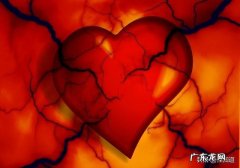 血脂是怎样从身体里排出的