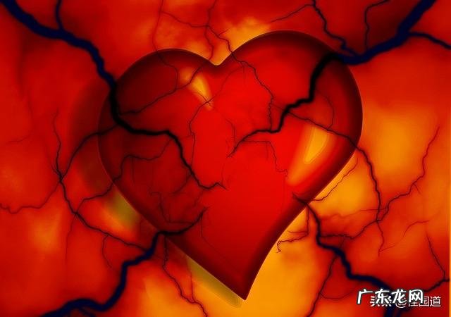 血脂是怎样从身体里排出的