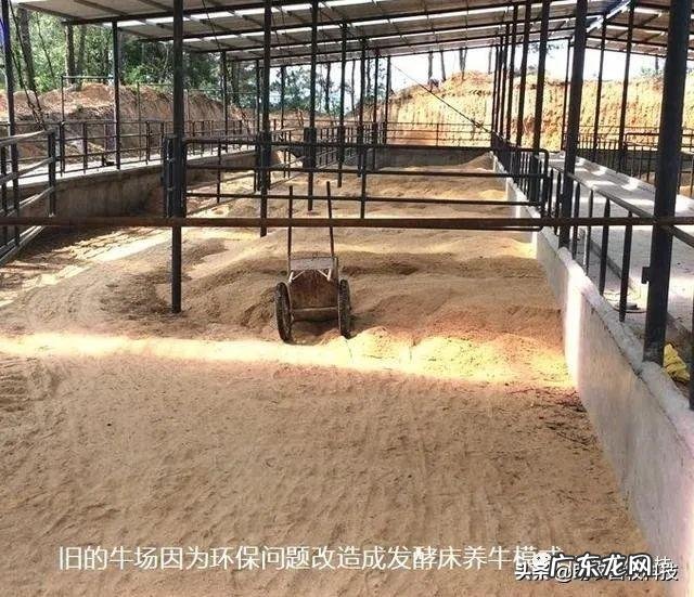 薄垫料发酵床养牛好不好?