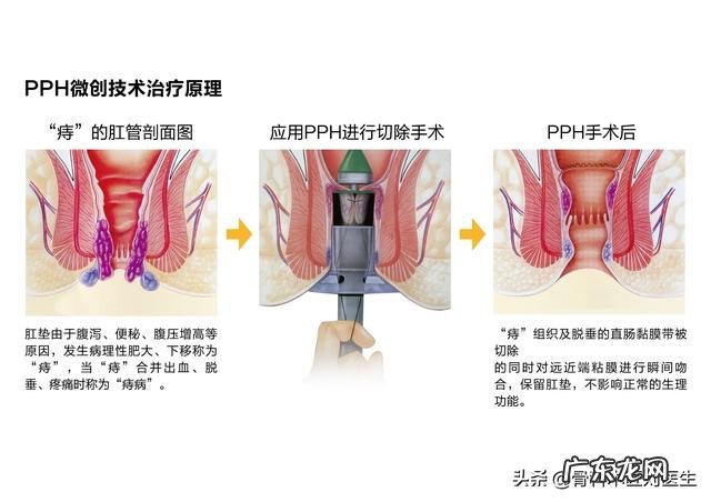 出生8天的小牛拉血是怎么回事？用什么药？