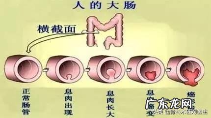 出生8天的小牛拉血是怎么回事？用什么药？