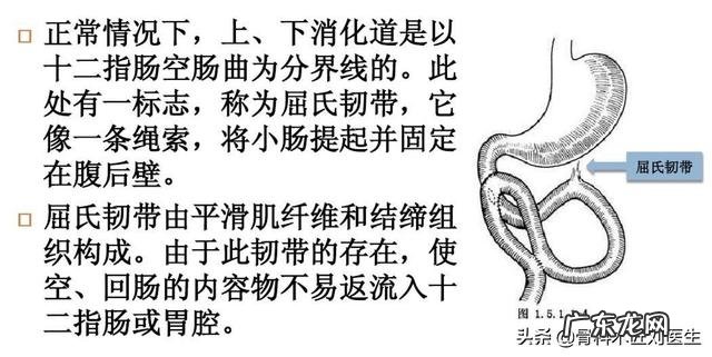 出生8天的小牛拉血是怎么回事？用什么药？