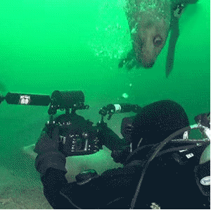 谁去过美国,聊一聊感受如何?