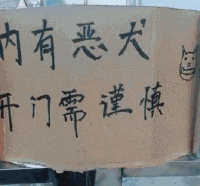 谁去过美国,聊一聊感受如何?