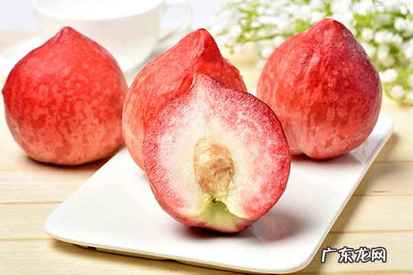 桃子是凉性还是热性
