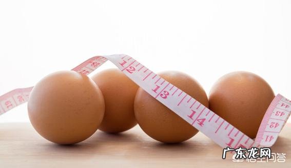 为什么减脂期需要多摄入蛋白质?