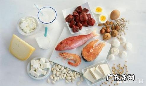 为什么减脂期需要多摄入蛋白质?