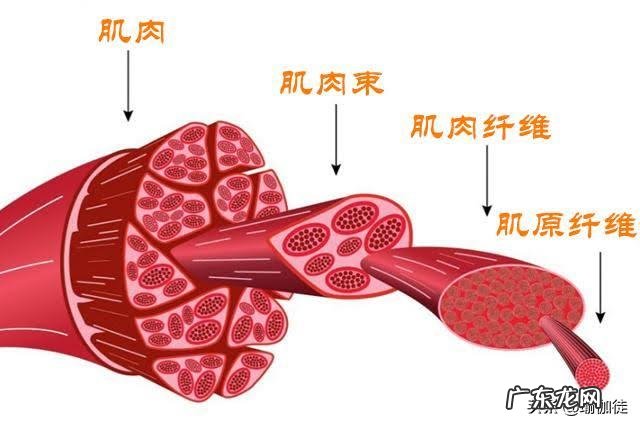 减肥了三个星期越来越重是为什么？
