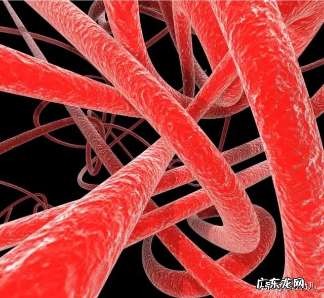 怀孕几个月会水肿?为什么会水肿？