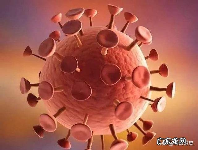 经 你知道《伤寒论》六病的分类意义吗？