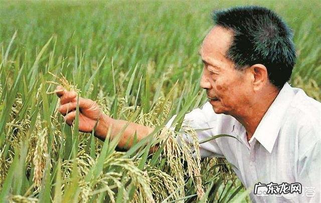 为什么视频号看的人比较多?