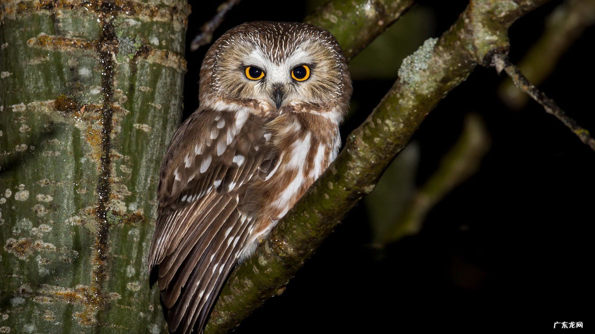 KUF-13043高清完整版下载,