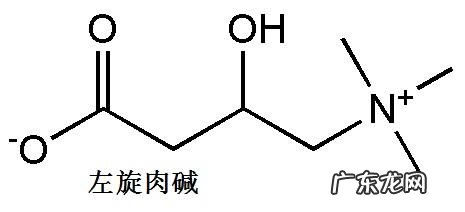 修正左旋肉碱会有副作用吗?