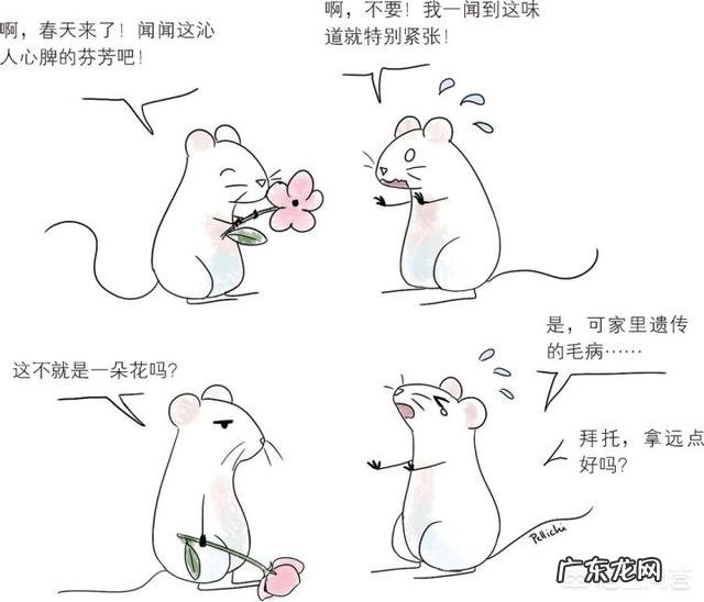 人类最后的结局都是死亡，为什么一开始就要活着