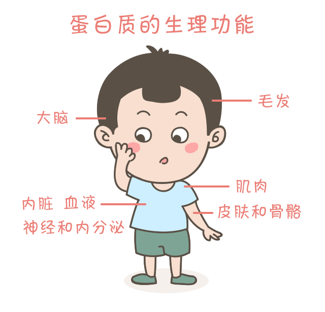 婴幼儿的生长发育受哪些因素影响