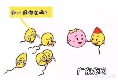 胚胎染色体正常夫妻两色体正常,那胎停原因会是什么