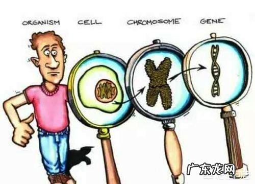 胚胎染色体正常夫妻两色体正常，那胎停原因会是什么