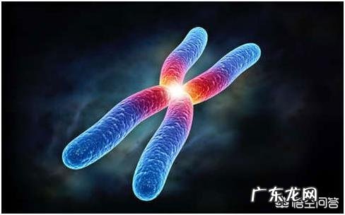 胚胎染色体正常夫妻两色体正常，那胎停原因会是什么