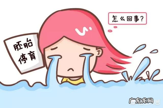 胚胎染色体正常夫妻两色体正常，那胎停原因会是什么