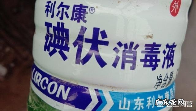 农村养猪一般多久能出栏,300斤的猪要养多久? 养殖场猪一般多久出栏