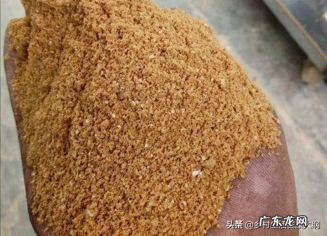 农村养猪一般多久能出栏,300斤的猪要养多久? 养殖场猪一般多久出栏