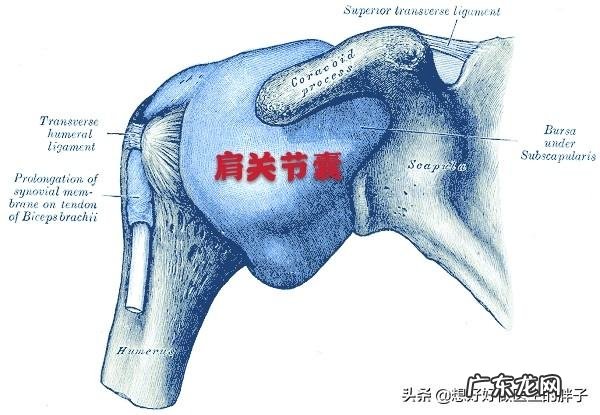 请问肩周炎怎么缓解,疼的半夜睡不着觉,有什么好的方法?