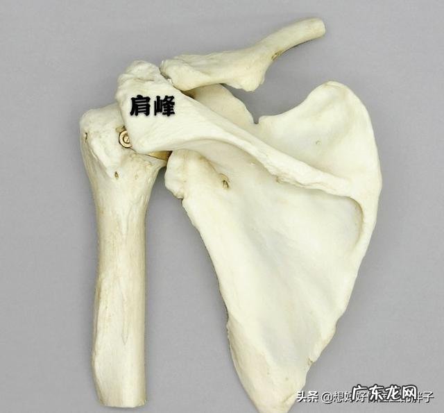 请问肩周炎怎么缓解,疼的半夜睡不着觉,有什么好的方法?