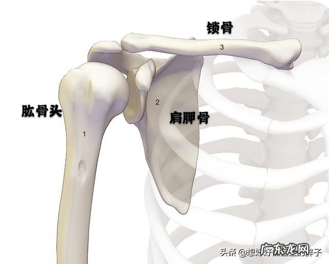 请问肩周炎怎么缓解,疼的半夜睡不着觉,有什么好的方法?