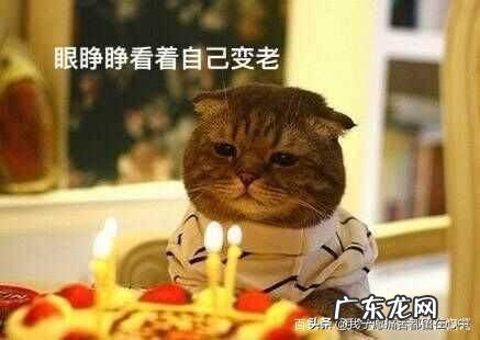 过生日怎么发朋友圈显得幽默？