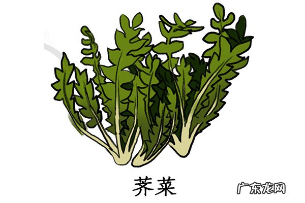 荠菜煮鸡蛋的功效