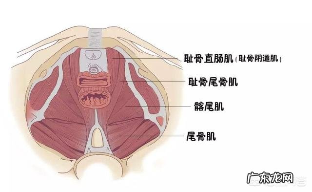 剖腹产快两个月了怎么减肥?