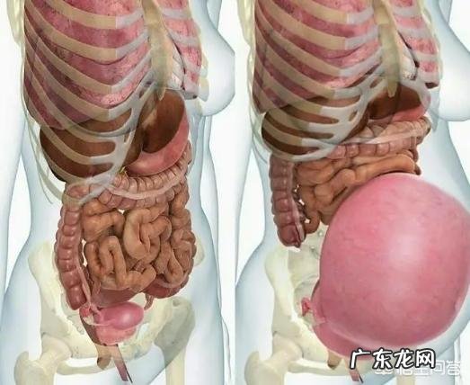 剖腹产快两个月了怎么减肥?