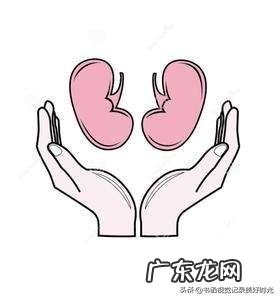 急性间质性肾炎为什么缺钾？