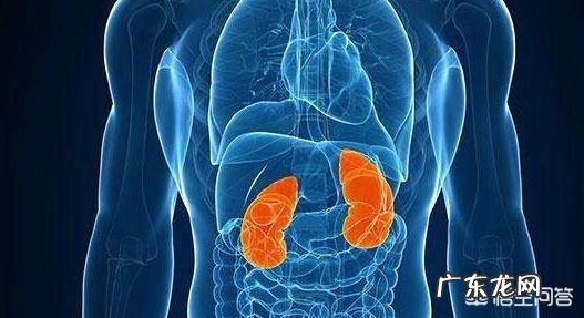 急性间质性肾炎为什么缺钾？