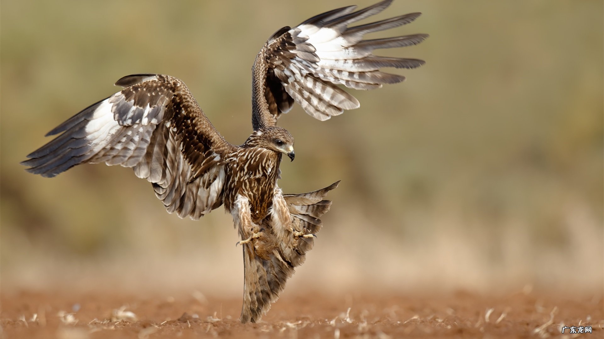 有什么方法可以加快新陈代谢???