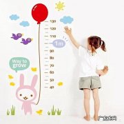 8个月的小孩体重身高应该多少？ 小孩八个月正常的身高体重