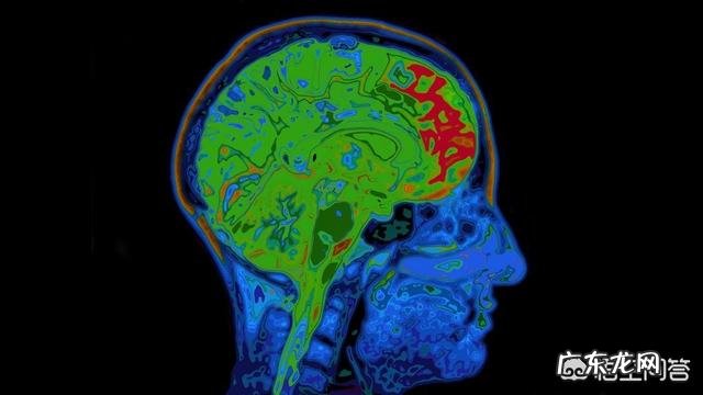 科学家说,加倍思考能减肥!大脑到底消耗了人体多少能量?